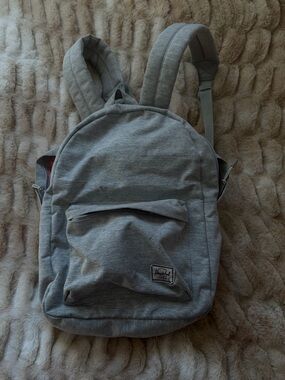 Herschel Gray Everyday Backpack for Men